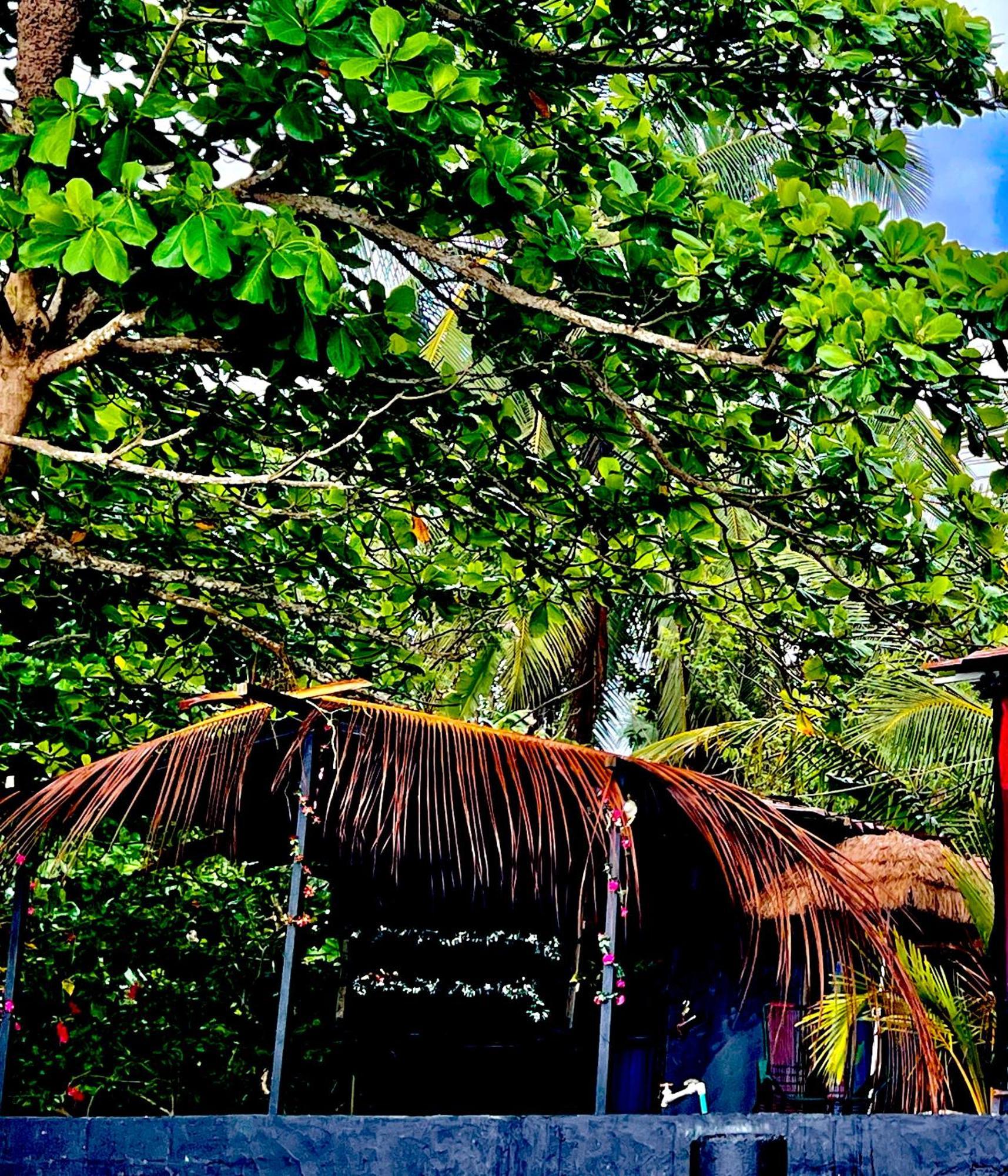 Beachfront Paradise Manuel Antonio Dış mekan fotoğraf