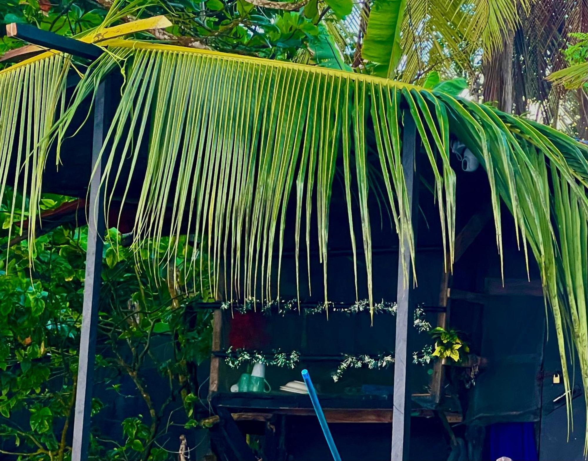 Beachfront Paradise Manuel Antonio Dış mekan fotoğraf
