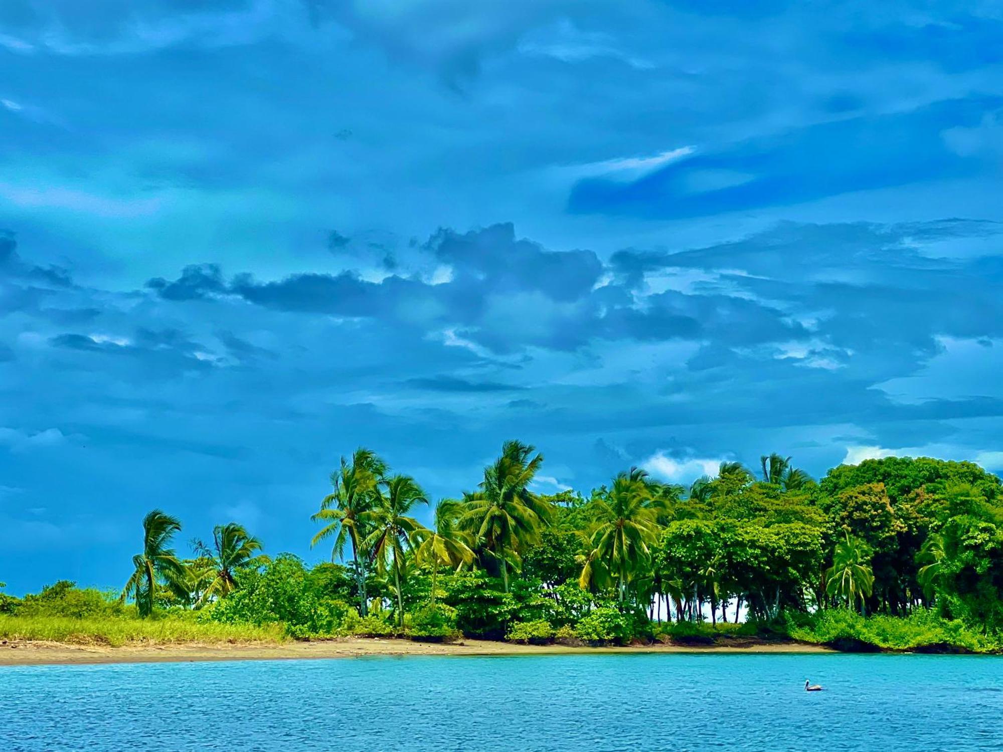 Beachfront Paradise Manuel Antonio Dış mekan fotoğraf