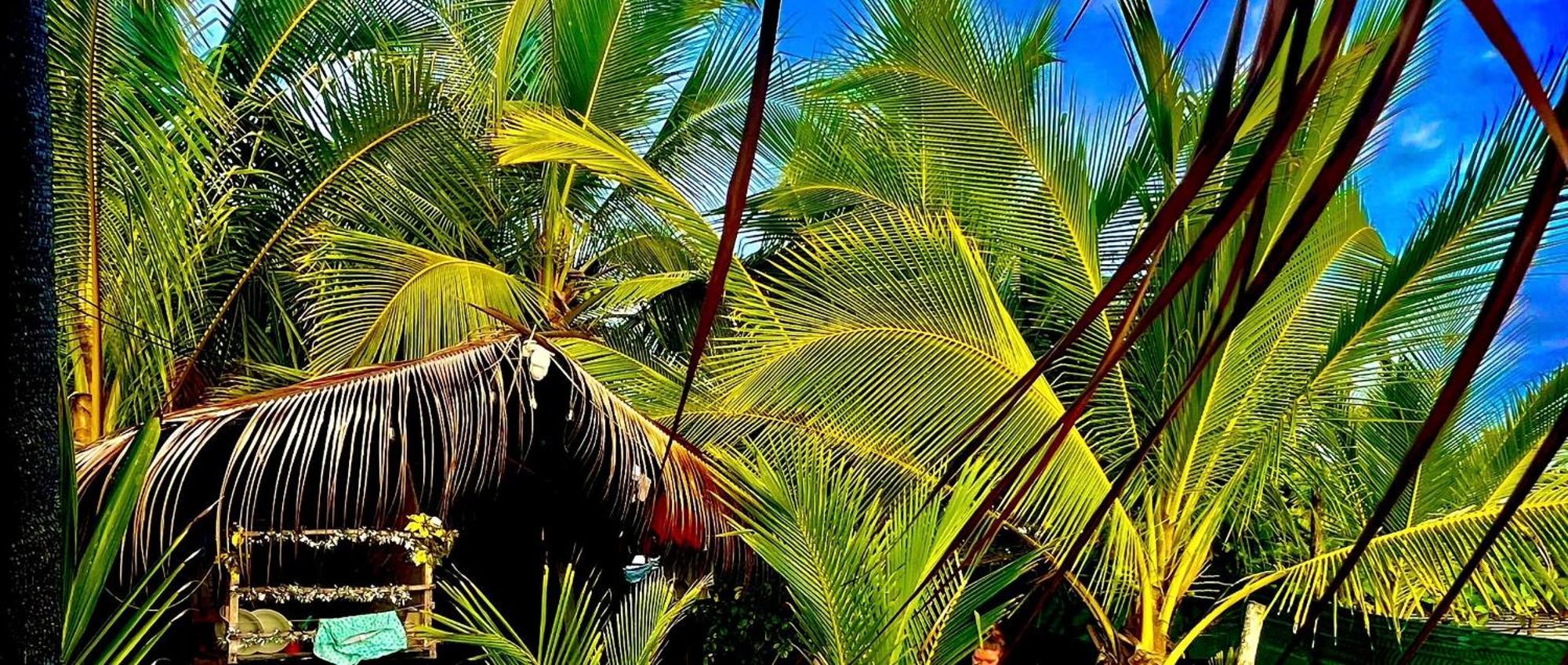Beachfront Paradise Manuel Antonio Dış mekan fotoğraf