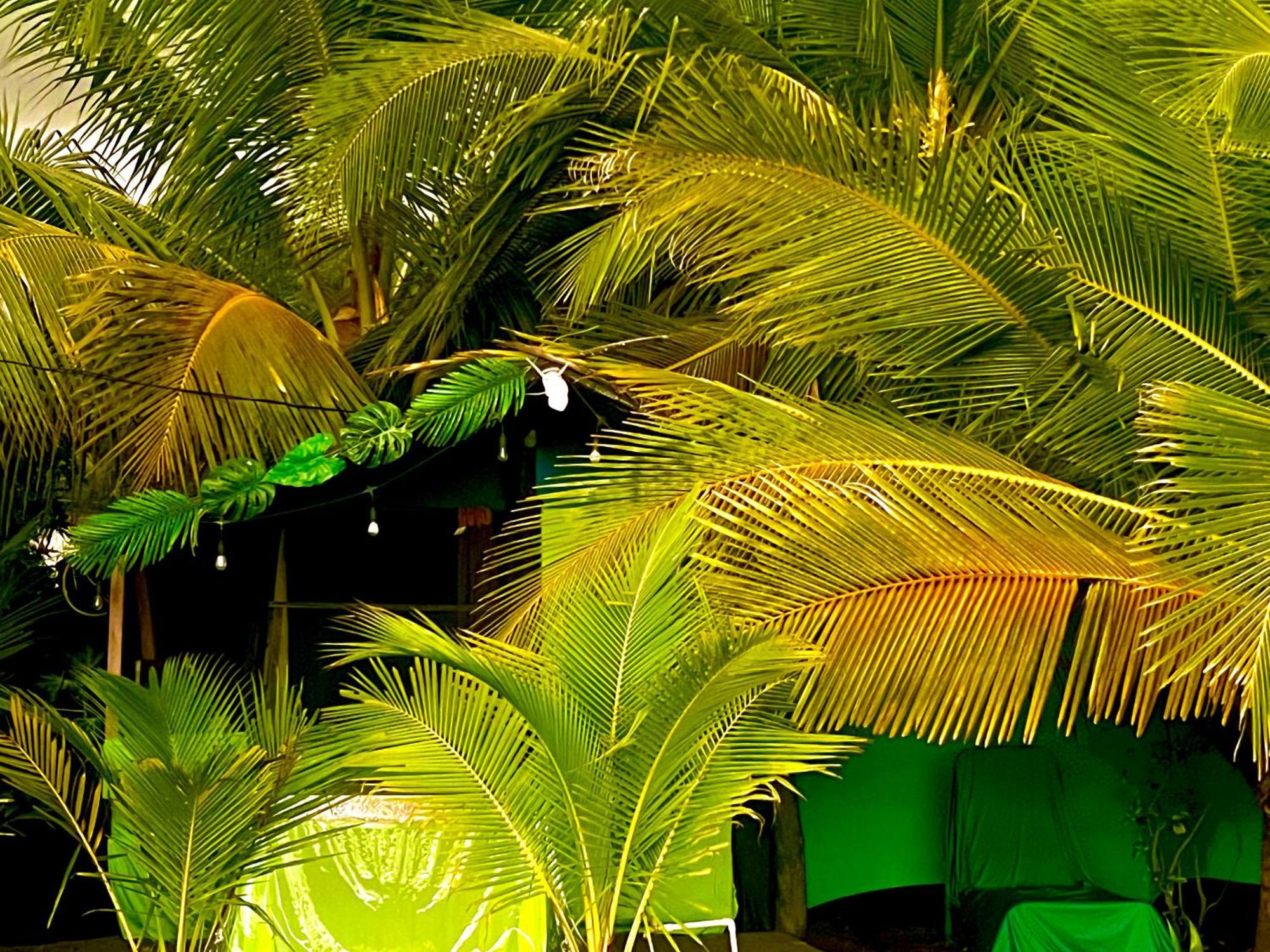 Beachfront Paradise Manuel Antonio Dış mekan fotoğraf
