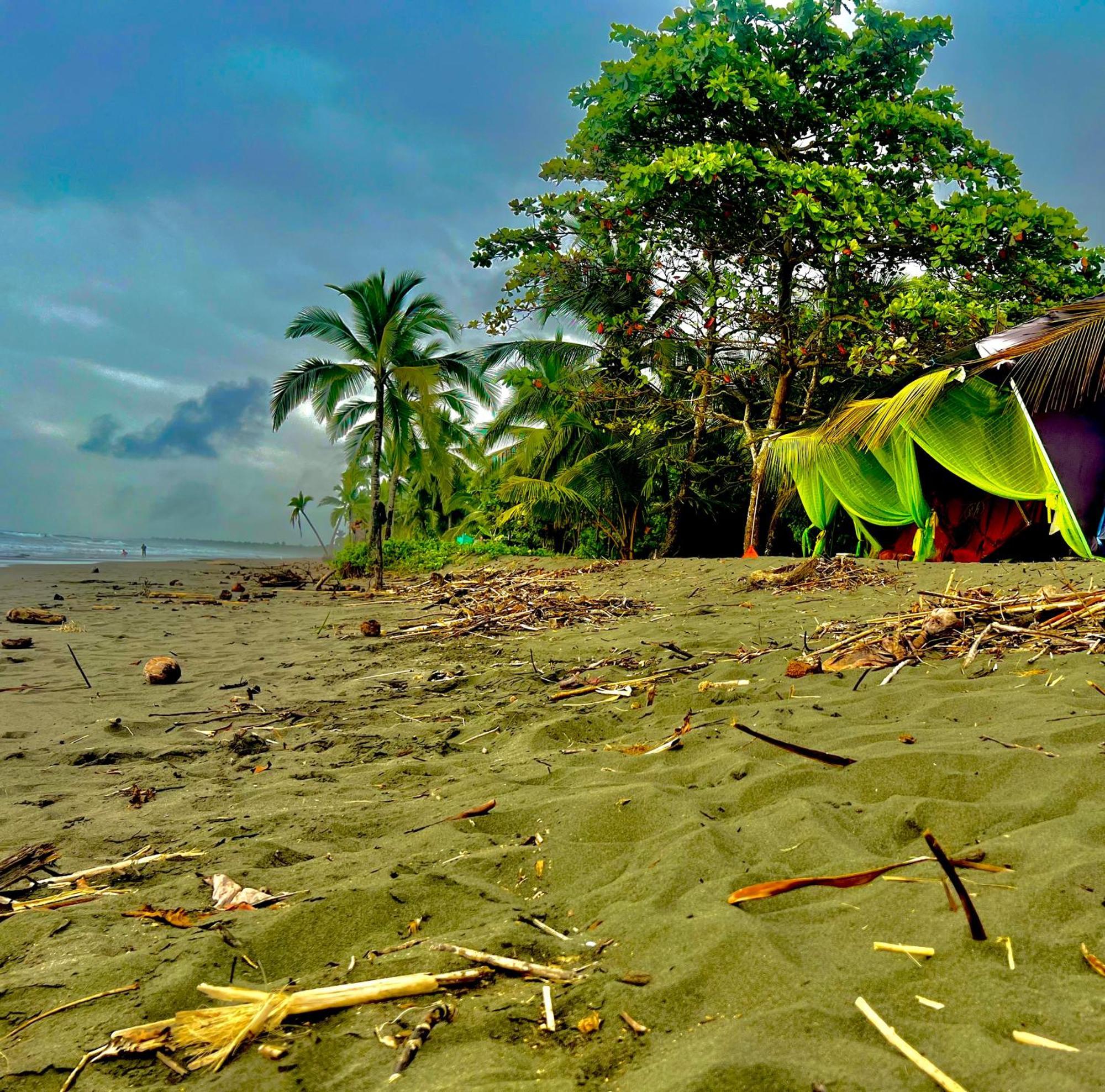 Beachfront Paradise Manuel Antonio Dış mekan fotoğraf