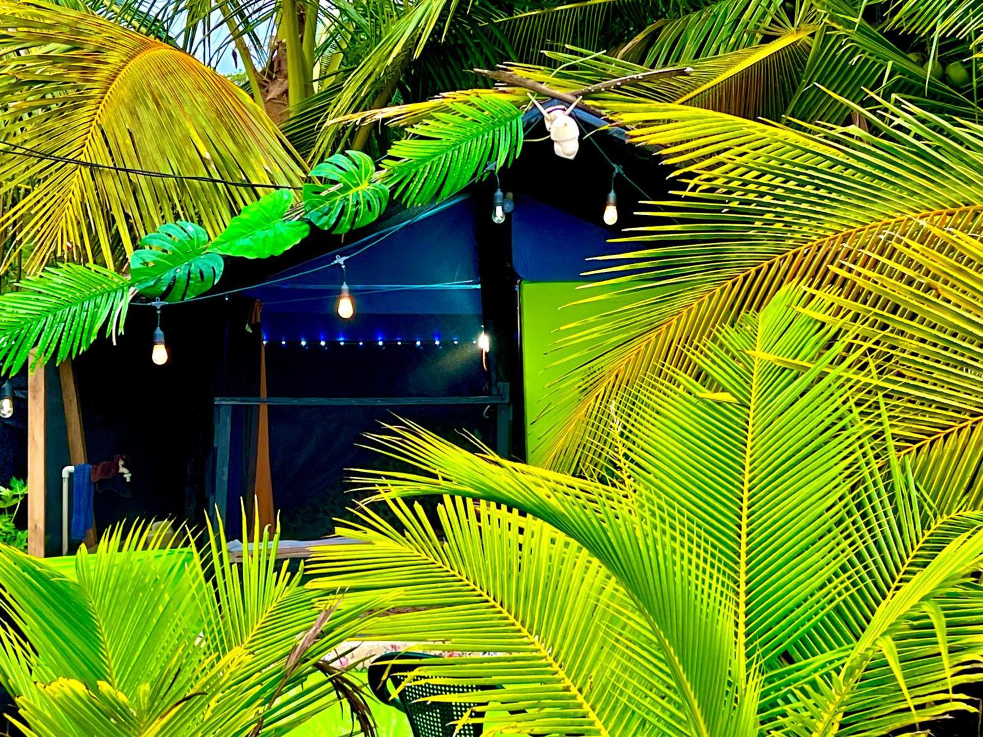 Beachfront Paradise Manuel Antonio Dış mekan fotoğraf